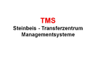 Problemlösungsprozesse und -methoden bei Steinbeis-Transferzentrum Managementsysteme (TMS)